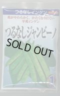 送料無料　[いんげん]　インゲン　つるなしジャンビーノ　1dl　(株)サカタのタネ