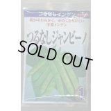 送料無料　[いんげん]　インゲン　つるなしジャンビーノ　1dl　(株)サカタのタネ