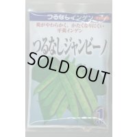 送料無料　[いんげん]　インゲン　つるなしジャンビーノ　1dl　(株)サカタのタネ