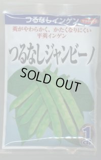 送料無料　[いんげん]　インゲン　つるなしジャンビーノ　1dl　(株)サカタのタネ
