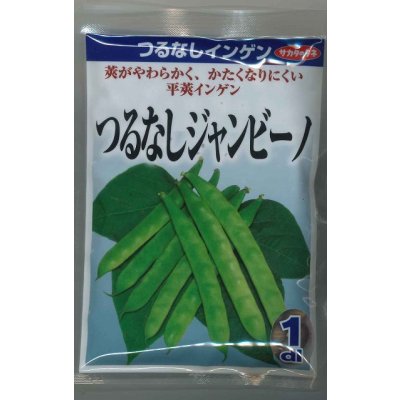 画像1: 送料無料 [いんげん] インゲン つるなしジャンビーノ 1dl (株)サカタのタネ