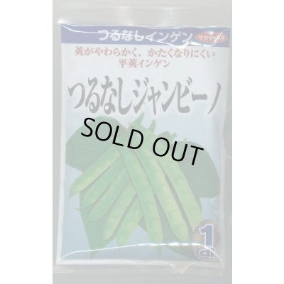 画像1: 送料無料　[いんげん]　インゲン　つるなしジャンビーノ　1dl　(株)サカタのタネ