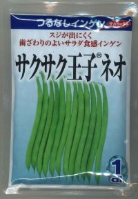 [いんげん]　つるなしいんげん　サクサク王子ネオ　1dl　サカタのタネ（株）