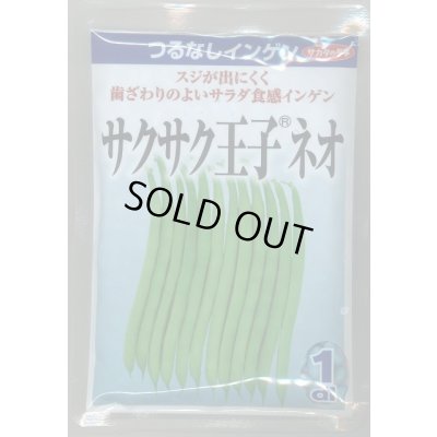 画像1: 送料無料　[いんげん]　つるなしいんげん　サクサク王子ネオ　1dl　(株)サカタのタネ