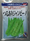 送料無料　[いんげん]　つるあり　ジャンビーノ菜豆　1dl　(株)サカタのタネ