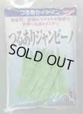送料無料　[いんげん]　つるあり　ジャンビーノ菜豆　1dl　(株)サカタのタネ