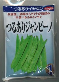 送料無料　[いんげん]　つるあり　ジャンビーノ菜豆　1dl　(株)サカタのタネ