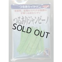 送料無料　[いんげん]　つるあり　ジャンビーノ菜豆　1dl　(株)サカタのタネ