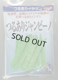 送料無料　[いんげん]　つるあり　ジャンビーノ菜豆　1dl　(株)サカタのタネ