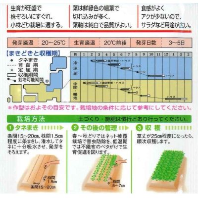 画像2: [葉物]　みずな　京みぞれ　5ml　タキイ種苗（株）　GF　