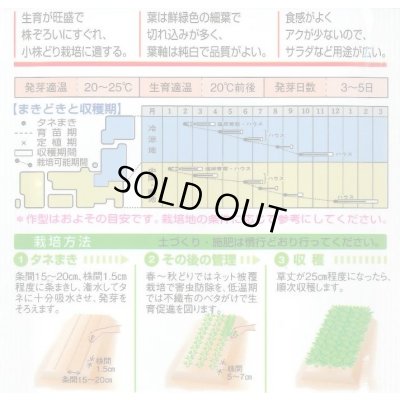 画像2: みずな 京みぞれ 5ml タキイ種苗(株) GF