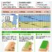 画像2: [葉物]　みずな　京みぞれ　20ｍｌ　タキイ種苗（株） (2)