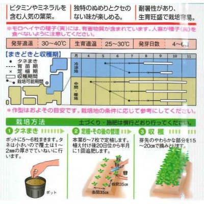 画像2: [葉物]　モロヘイヤ　1.5ml　タキイ種苗（株）　GF　