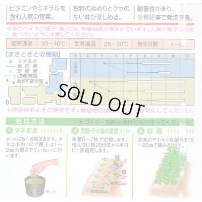 画像2: 送料無料　モロヘイヤ　1.5ml　タキイ種苗(株)　GF