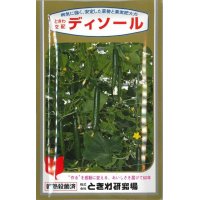 [キュウリ]　送料無料！ディソール　350粒　（株）ときわ研究場