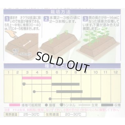 画像2: 送料無料　[オクラ]　白おくら　楊貴妃　50粒　SANYO植物バイオ研究所