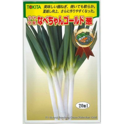 画像1: [ねぎ]　なべちゃんゴールド葱　20ml  トキタ種苗（株）