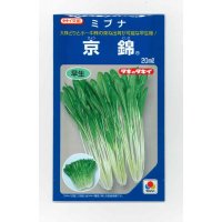 送料無料　[葉物]　ミブナ　京錦　20ml　タキイ種苗(株)