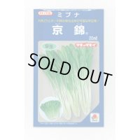 ミブナ 京錦 20ml タキイ種苗(株)