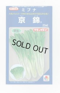 ミブナ 京錦 20ml タキイ種苗(株)