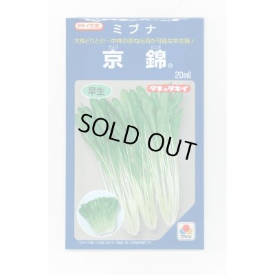 画像1: ミブナ 京錦 20ml タキイ種苗(株)