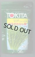 送料無料　[葉物]　サラダからし菜　2dl　トキタ種苗(株)