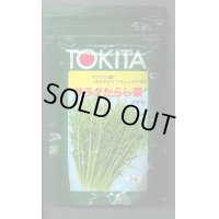 送料無料　[葉物]　サラダからし菜　2dl　トキタ種苗(株)