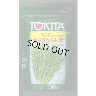 画像1: 送料無料　[葉物]　サラダからし菜　2dl　トキタ種苗(株)