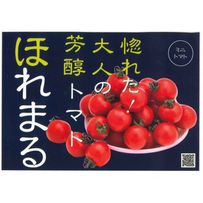 画像5: [トマト/ミニトマト]　ほれまる　14粒　渡辺農事