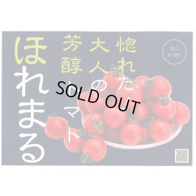 画像5: 送料無料　[トマト/ミニトマト]　ほれまる　13粒　渡辺農事（株）