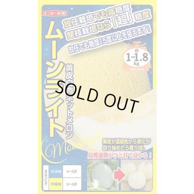 画像1: 送料無料　[メロン]　ムーンライト　5粒　ナント種苗(株)