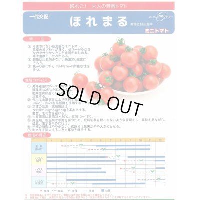 画像3: 送料無料　[トマト/ミニトマト]　ほれまる　13粒　渡辺農事（株）