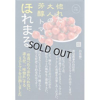 画像2: 送料無料　[トマト/ミニトマト]　ほれまる　13粒　渡辺農事（株）