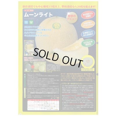 画像3: 送料無料　[メロン]　ムーンライト　5粒　ナント種苗(株)