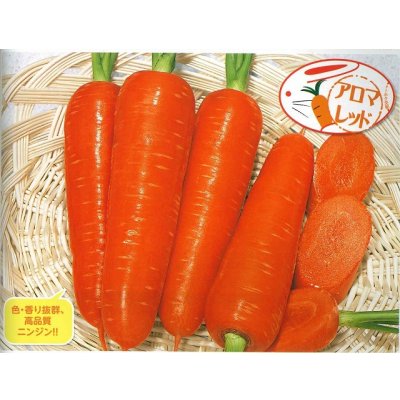 画像2: 送料無料　[人参]　アロマレッド　5ml　(およそ1130粒)(株)トーホク