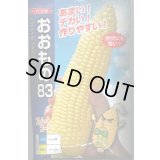 送料無料　[とうもろこし]おおもの83　200粒　ナント種苗(株)