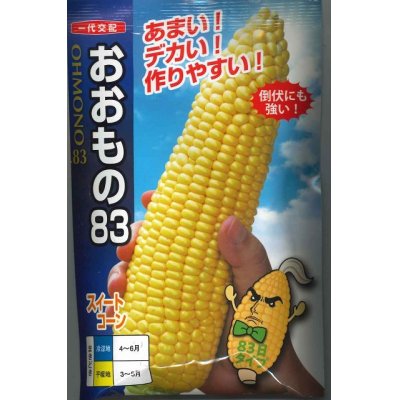 画像1: [とうもろこし]おおもの８３　　200粒　ナント種苗（株）