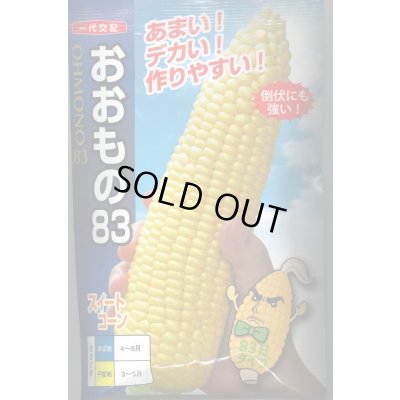 画像1: 送料無料　[とうもろこし]おおもの83　200粒　ナント種苗(株)