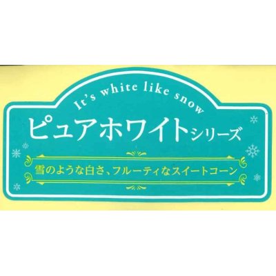 画像1: 送料無料！　青果シール　とうもろこし　　ピュアホワイトシリーズ　大サイズ　1000枚   雪印種苗　