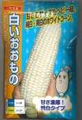 送料無料　[とうもろこし]白いおおもの　200粒　ナント種苗(株)