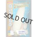 送料無料　[とうもろこし]白いおおもの　200粒　ナント種苗(株)