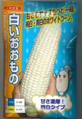 送料無料　[とうもろこし]白いおおもの　200粒　ナント種苗(株)