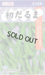 送料無料　[枝豆]　初だるま（PVP）　100粒　カネコ種苗（株）