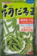 [枝豆]　初だるま　1000粒　カネコ育成