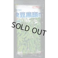 [枝豆]　快豆黒頭巾　1L　タキイ種苗(株)