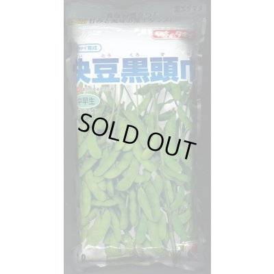画像1: [枝豆]　快豆黒頭巾　1L　タキイ種苗(株)