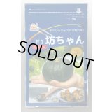 送料無料　[かぼちゃ]　坊ちゃん　500粒　ヴィルモランみかど（株）