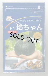 送料無料　[かぼちゃ]　坊ちゃん　500粒　ヴィルモランみかど（株）