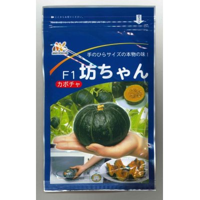 画像1: [かぼちゃ]　送料無料！　坊ちゃん　500粒　ヴィルモランみかど