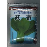 送料無料　[中国野菜]　チンゲンサイ　武帝チンゲンサイ　2dl　(株)サカタのタネ